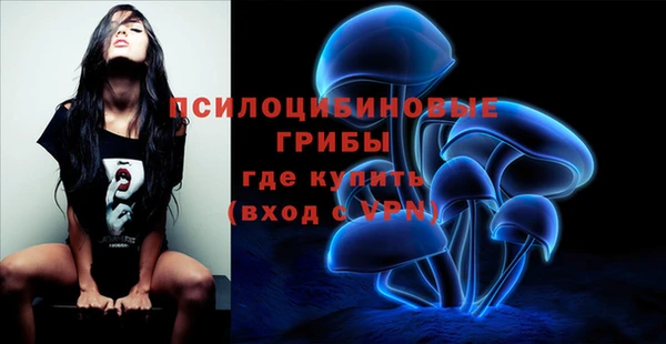 jwh Магас