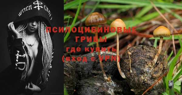 МДПВ Мегион