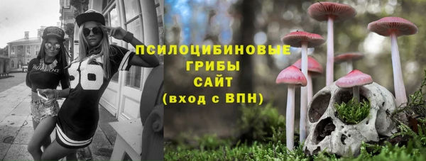 метадон Медногорск