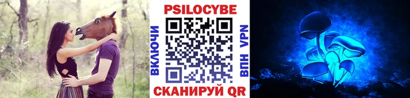 Галлюциногенные грибы Cubensis  ОМГ ОМГ вход  Тавда 